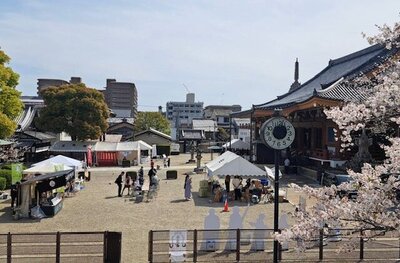 IMG_9172 - コピー.jpg