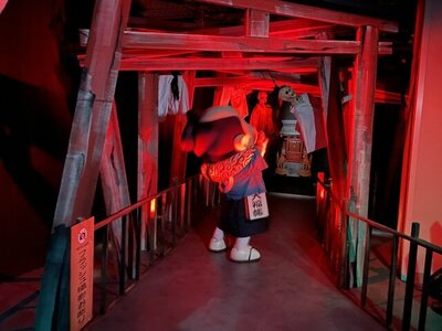 IMG_8372 (1).jpg